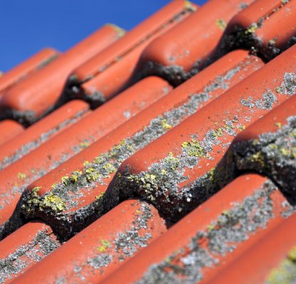 Démoussage et nettoyage de toiture à Mouroux en Seine et Marne